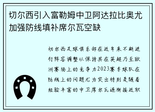 切尔西引入富勒姆中卫阿达拉比奥尤加强防线填补席尔瓦空缺